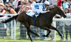 Goldikova