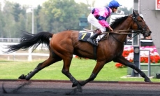 Ohio de Joudes