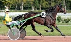 Panache de l'Iton