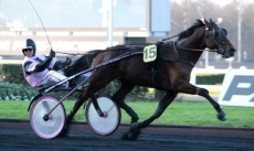 Qualin de Montfort