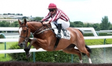Regisseur
