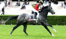 Cima de Triomphe