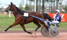 My Winner