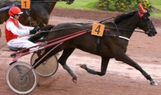 Quef de la Bouvrie