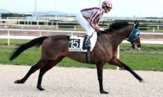 Mesnil des Aigles