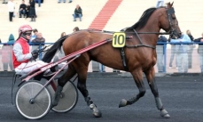 Phil des Bassieres