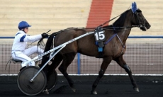 Prince d'haufor