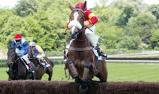 Kauto Star