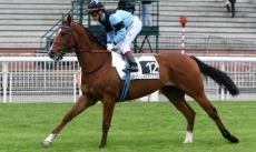 Poincon de France