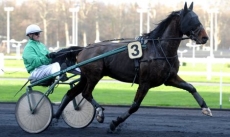 Paddy du Buisson