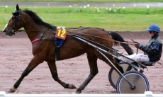 Magic de Assigny