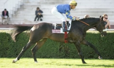 Gloria de Campeao