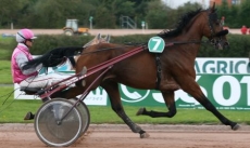 Ness Marceaux