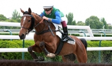 Cheops du Berlais