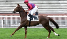 Capitaine Courage