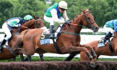 Kauto Stone