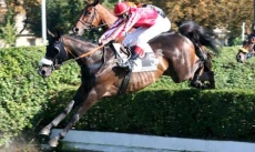 Rond de Cuir