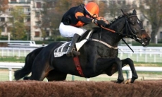 Princesse d'Anjou