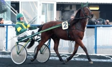 Normand d'Oger