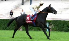 Cavalryman