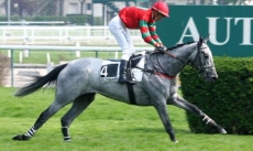 Formosa Joana Has