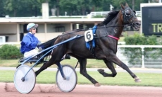 Must d'Olivier