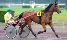 Negresco Turgot