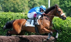 Cazoul des As