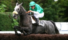 Celtic Honor