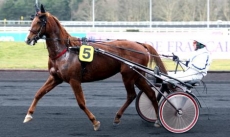 Opaline d'Atout