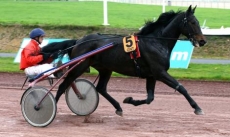 Pia Saint Latuin