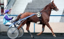 Organdi d'Or