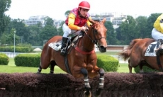 Gryonne