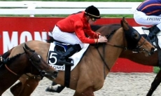 Speranza