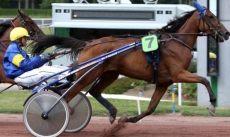Sioda Josselyn