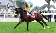 Alinade