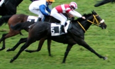 Prince Elidane