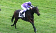 Chamouille