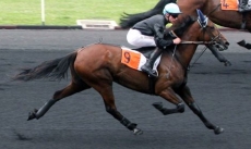 Roxane du Vivier