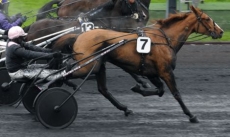 Radieuse Lignee