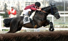 Prince Wladimir