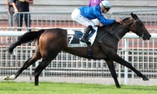 Blagueuse