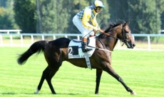 Liebermann