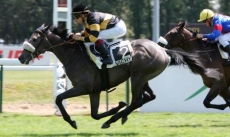 Vertix d'Authie