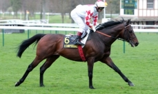 Royal Pennekamp