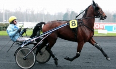 Torino Pierji