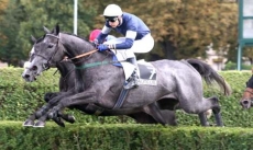 Sauveterre