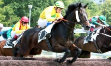 Boleano de l'Oust