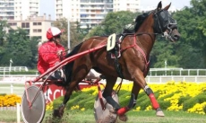 Paiva