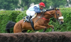 Salder Roque